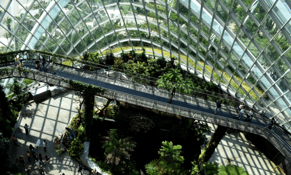 Grüne Grundlagen: Wie Nachhaltigkeit die moderne Architektur umgestaltet